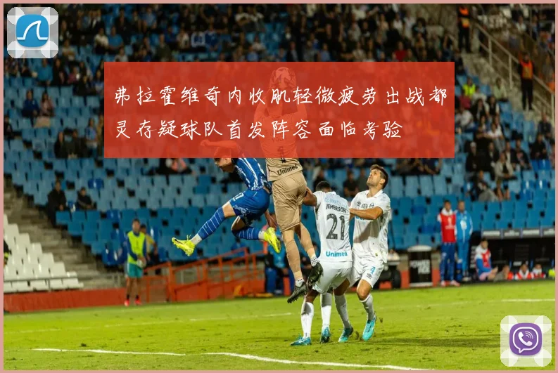 弗拉霍维奇内收肌轻微疲劳出战都灵存疑球队首发阵容面临考验